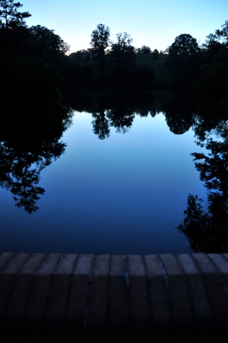 Blue Reflections - Photography by Michelle McCain of Hendersonville, NC